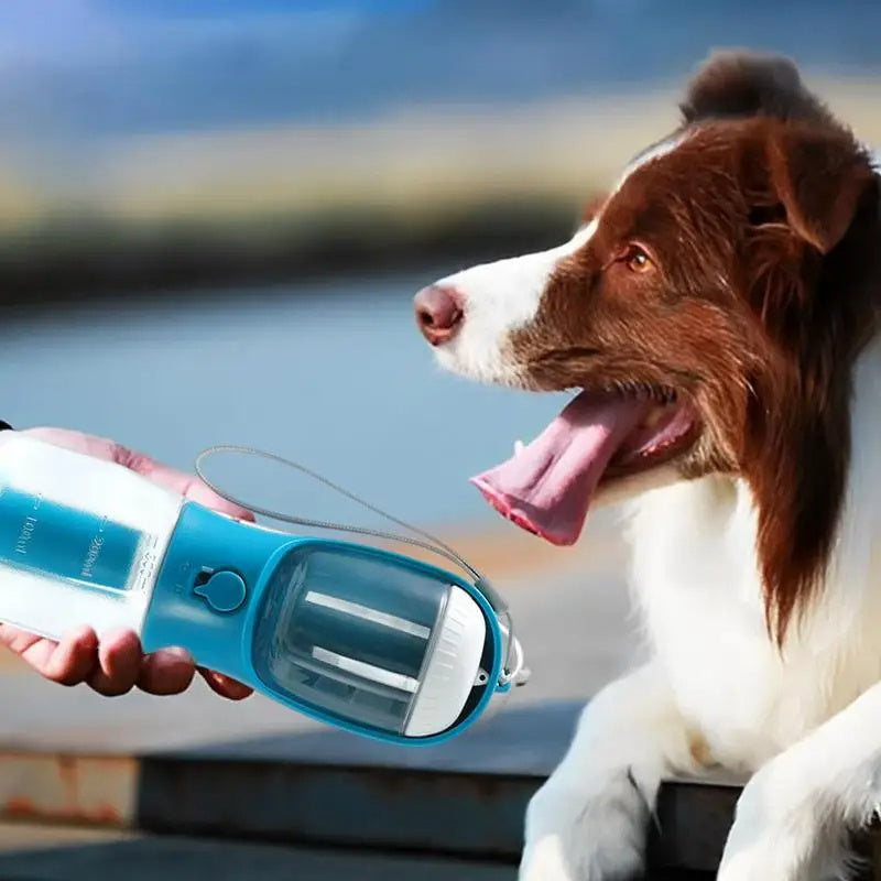 Three-in-one Pet-Cup